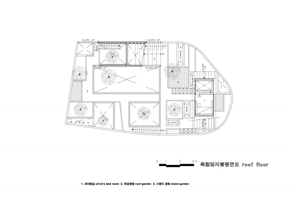 roof plan roof plan
