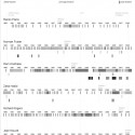 Regimes_And_Architects_20091020 Regimes_And_Architects_20091020