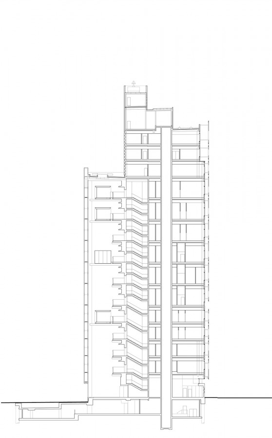 section section