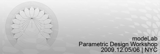 20091107_GrasshopperWorkshopBanner03
