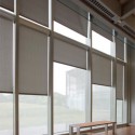 IFAW_6488_hall_vertical IFAW_6488_hall_vertical