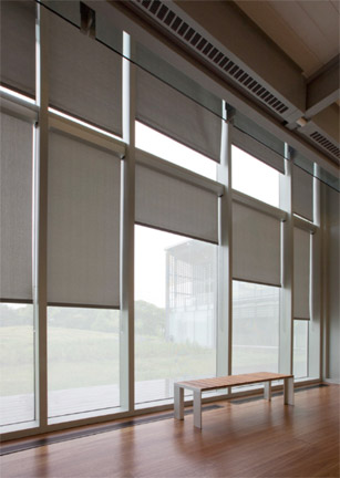 IFAW_6488_hall_vertical IFAW_6488_hall_vertical