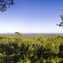 bark_241009_016 bark_241009_016