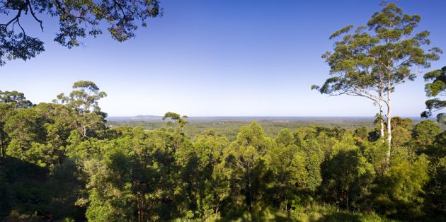 bark_241009_016 bark_241009_016