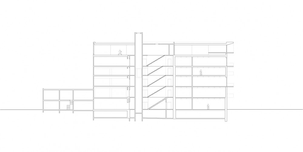 section section