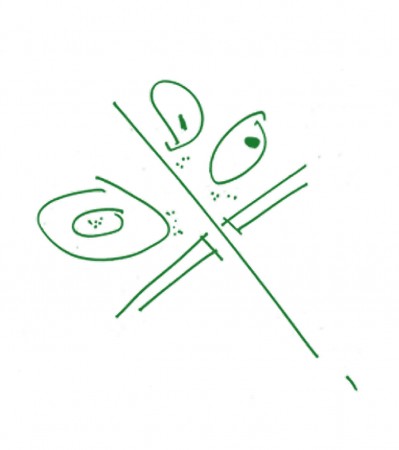 logo copy