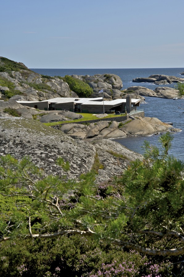 _DSC5150 © Nils Petter Dale