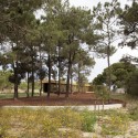 General view of the pavilion through the pine-trees forest © Leonardo Finotti General view of the pavilion through the pine-trees forest © Leonardo Finotti