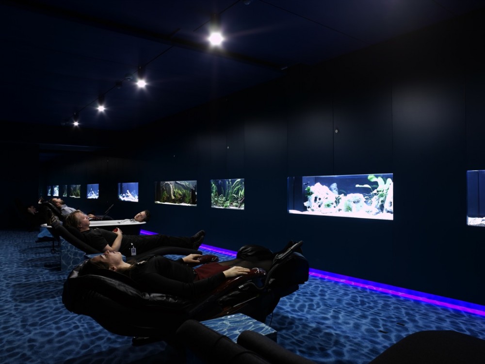 Google EMEA Engineering Hub / Camezind Evolution