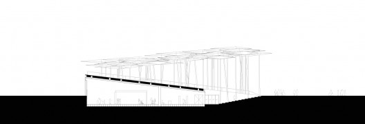 section_long copy section_long copy section_long copy