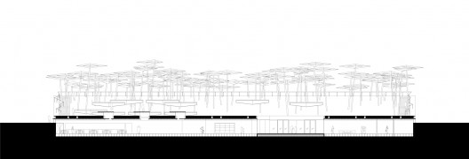 section_cross copy section_cross copy section_cross copy
