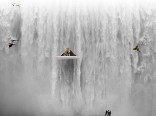 1_visiondivision_eden_falls_lion_72dpi