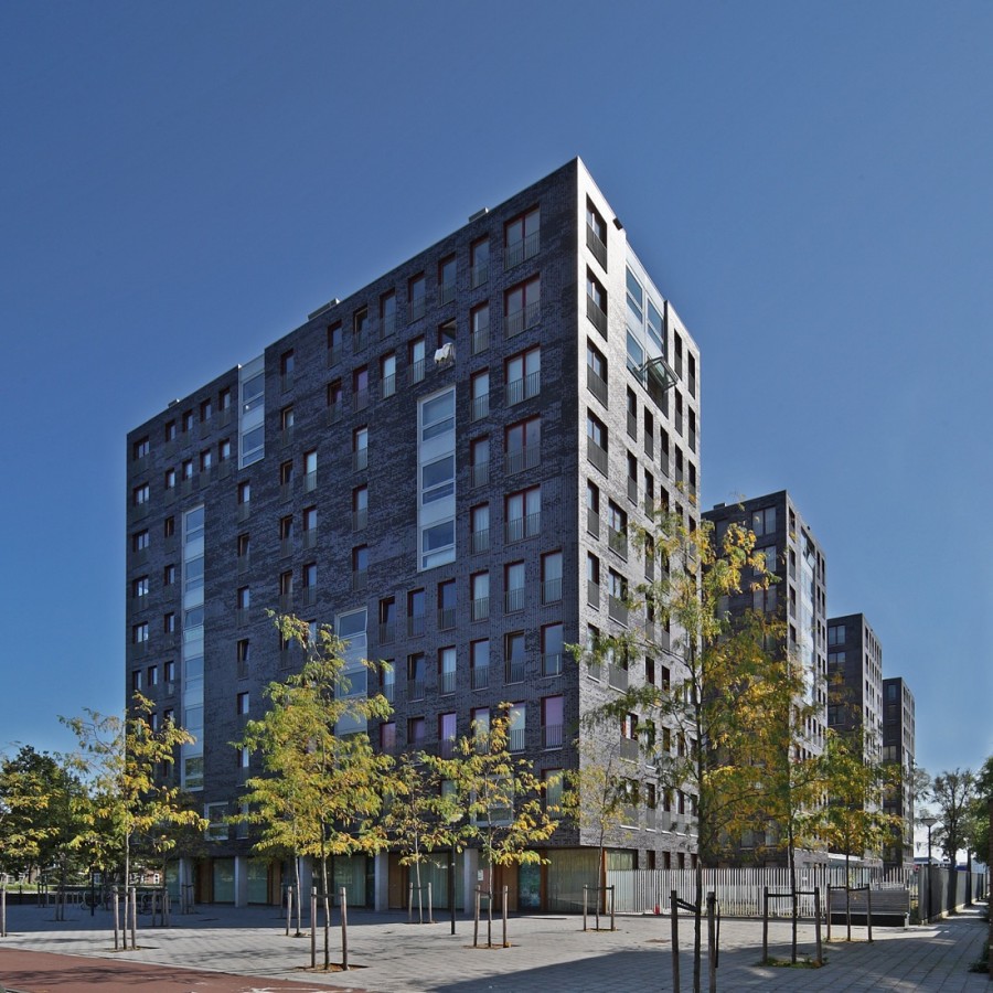 9916_91_JLM_869_183 @ John Lewis Marshall