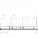 section section