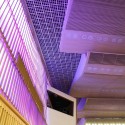 IMG_8418 IMG_8418