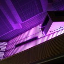 IMG_8885