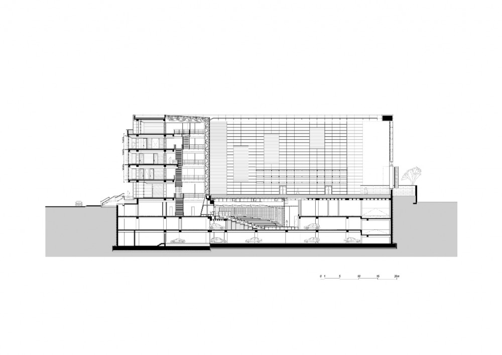section section
