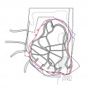 Plans 2_Structure structure plan