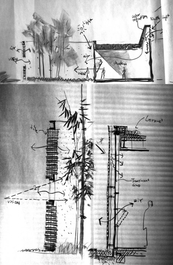 24 sketches