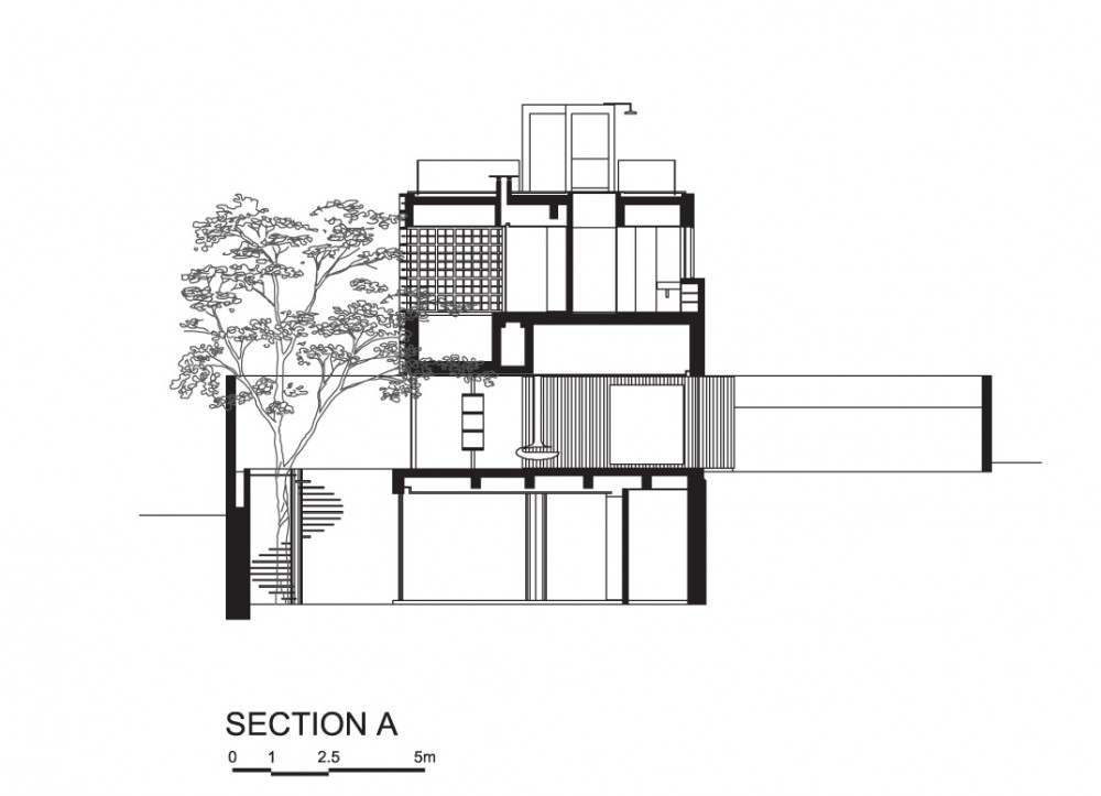 Section A Section A