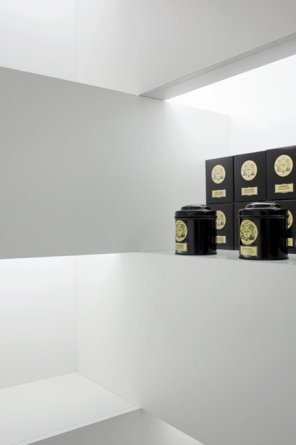 T-Magi / WE architecture