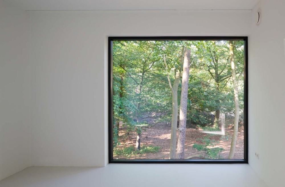 10 picture Rene de Wit © Rene de Wit