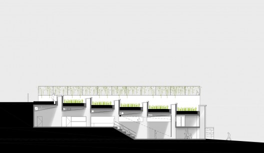 section