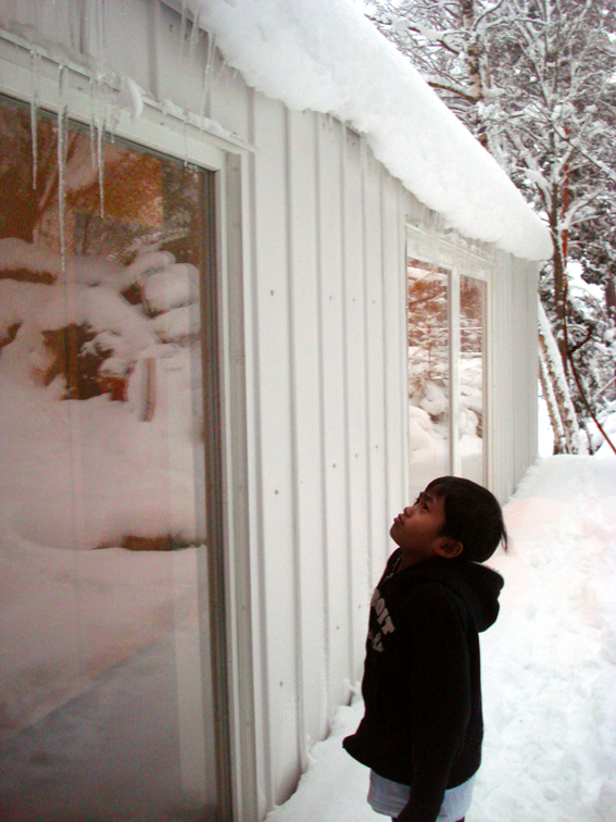 Hill Hut / Visiondivision