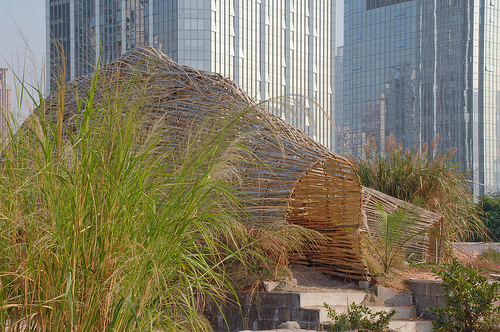 Bug Dome / the WEAK!