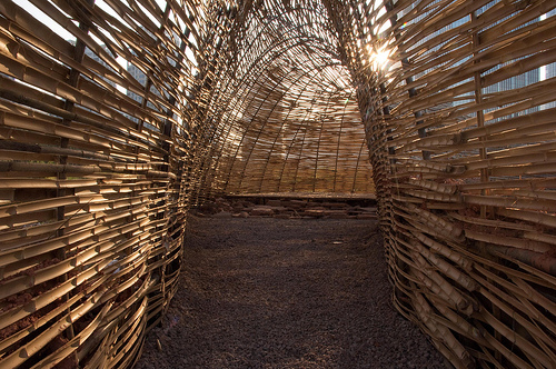 Bug Dome / the WEAK!