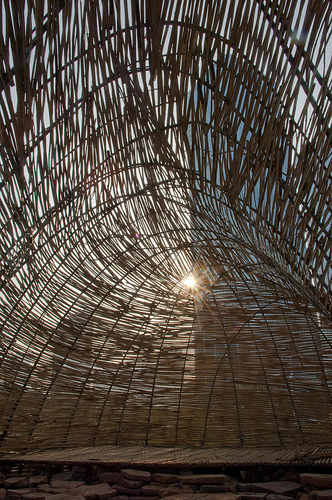 Bug Dome / the WEAK!