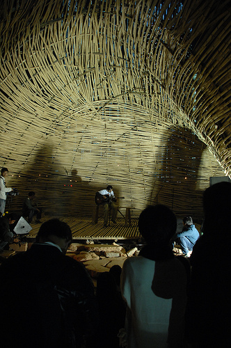 Bug Dome / the WEAK!