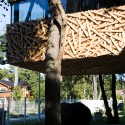 20090819_0213 20090819_0213 © Tarvo Varres