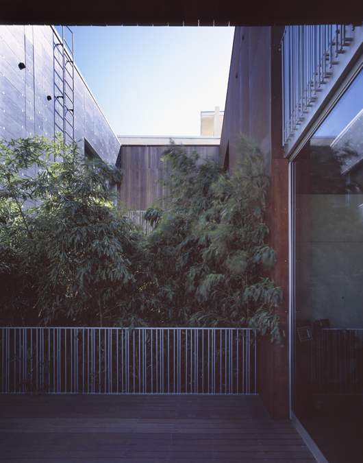 1118-08 © Hisao Suzuki