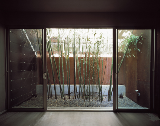 1118-10 © Hisao Suzuki