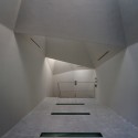 s_008 © Yuichi Higurashi