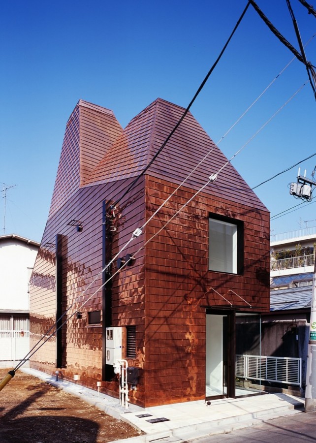 s_OJ4B003 © Yuichi Higurashi