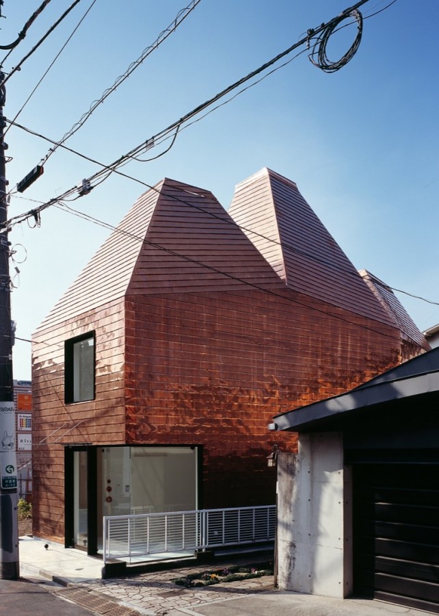 s_OJ4B005 © Yuichi Higurashi