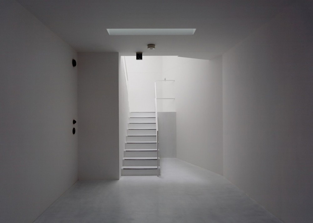 s_OJ4B019 © Yuichi Higurashi
