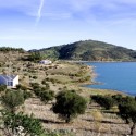 17506 17506 © Jesús Granada
