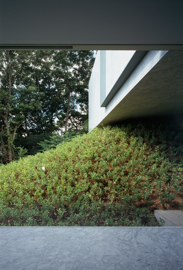 +046 © Ken'ichi Suzuki