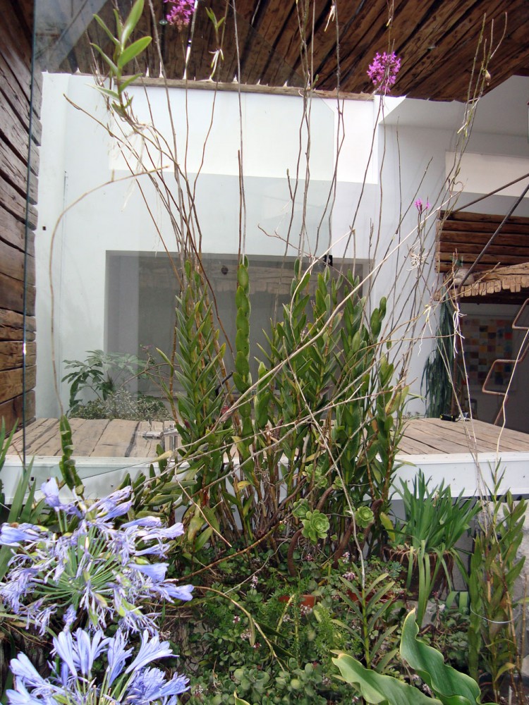 015-jardin © Daniel Moreno
