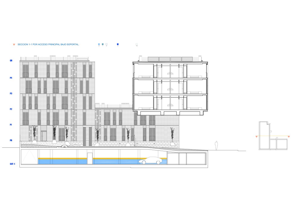 section section