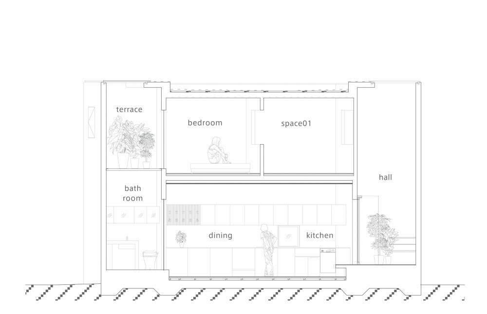 section section