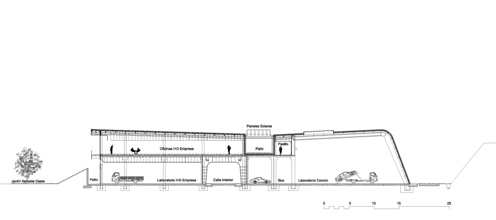 section section