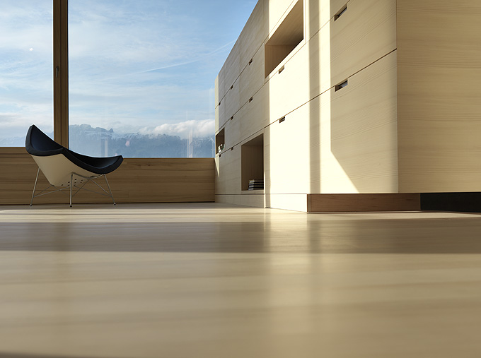 Germann House - marte.marte Architekten © Bruno Helbling