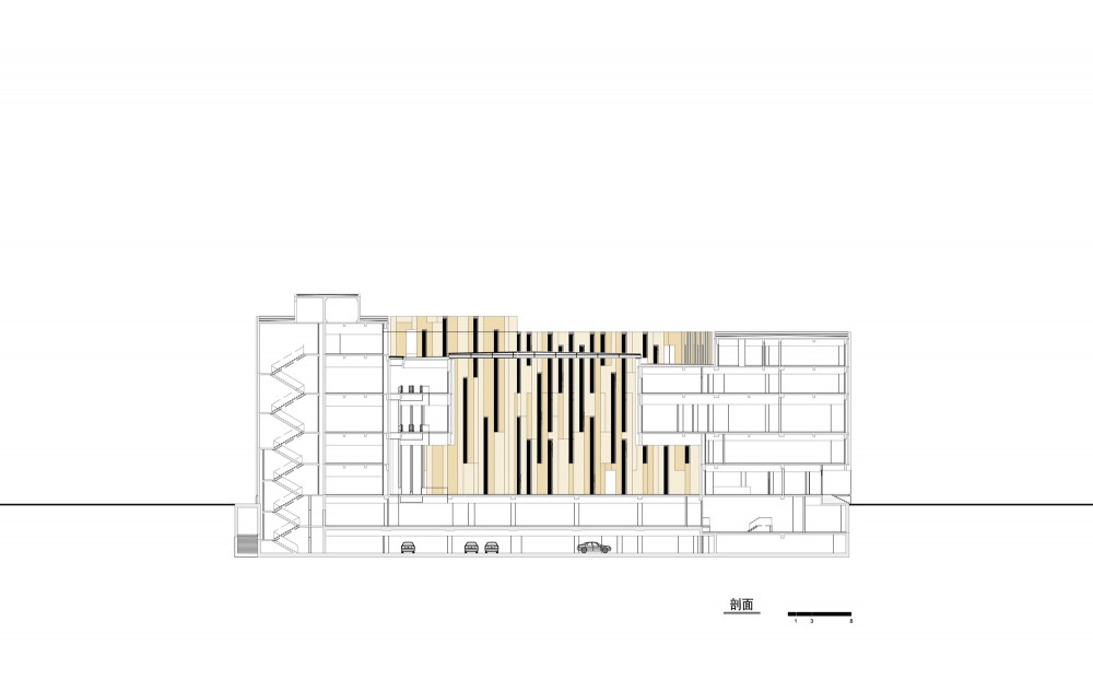 section section