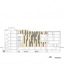 section section