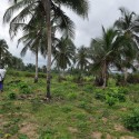 0921_AgingInAfrica_03_HWKN_S 0921_AgingInAfrica_03_HWKN_S