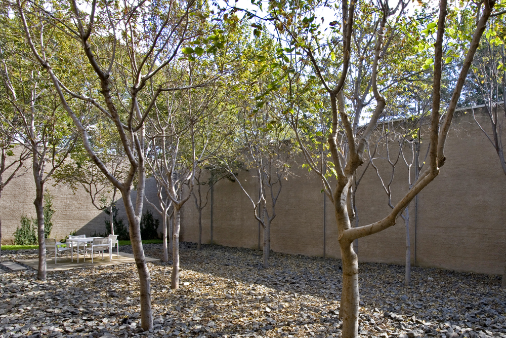 Courtyards on Oxford - studioMAS Courtyards on Oxford - studioMAS